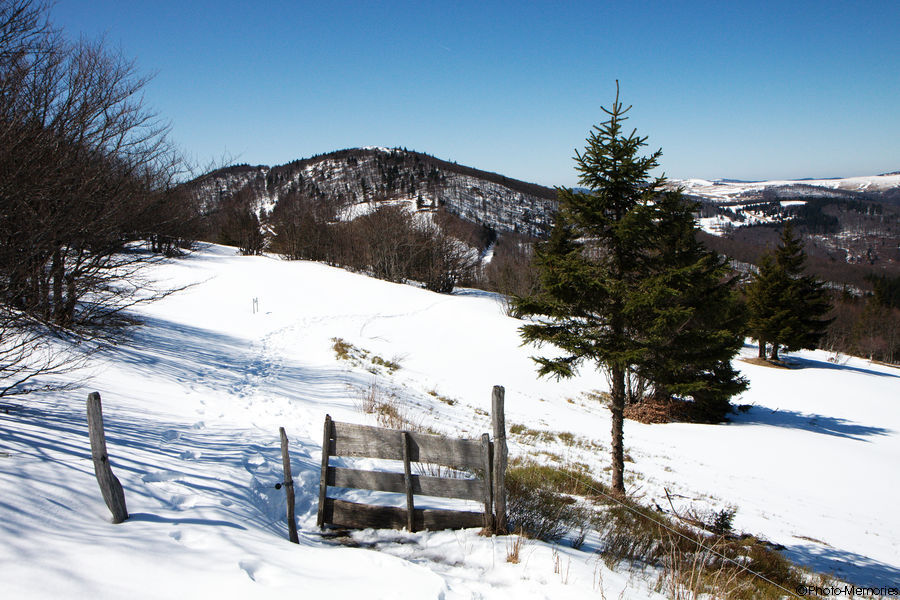 2010-04-06-0089.jpg