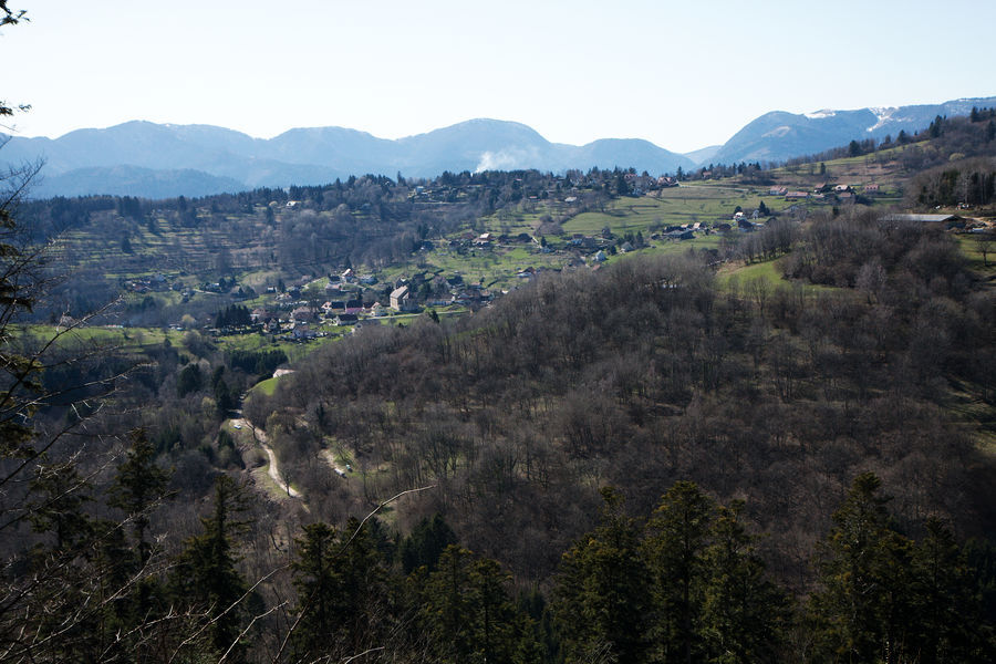 2010-04-06-0091.jpg