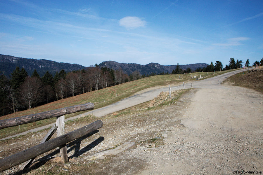 2010-04-07-0093.jpg