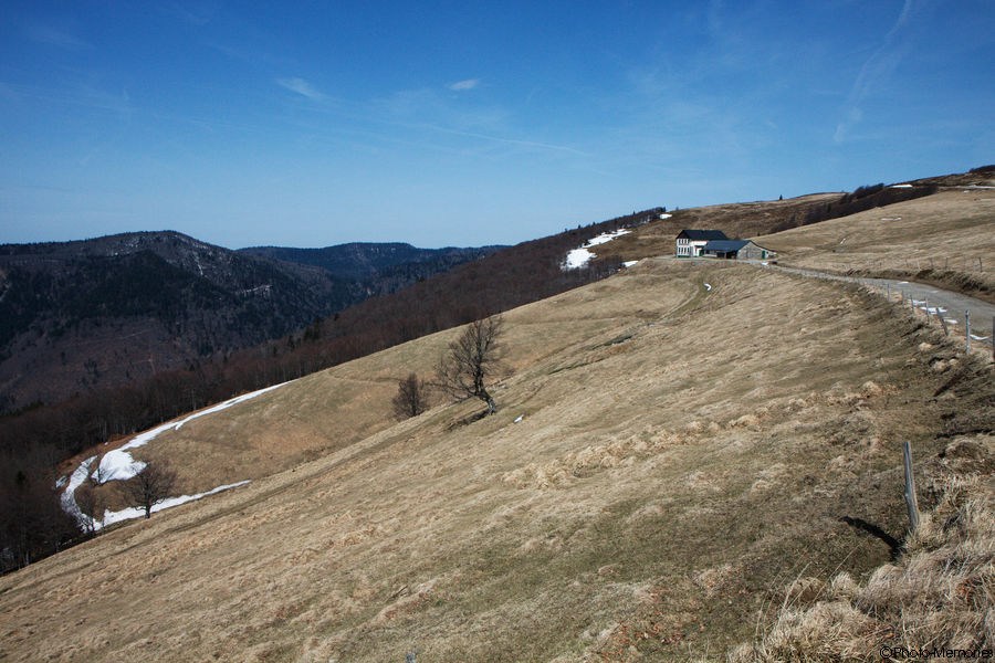 2010-04-07-0095.jpg