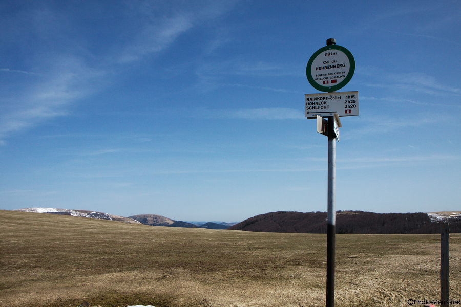 2010-04-07-0097.jpg