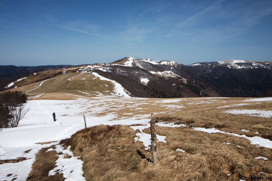 2010-04-07-0098.jpg