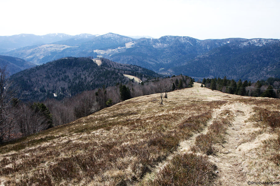 2010-04-07-0100.jpg
