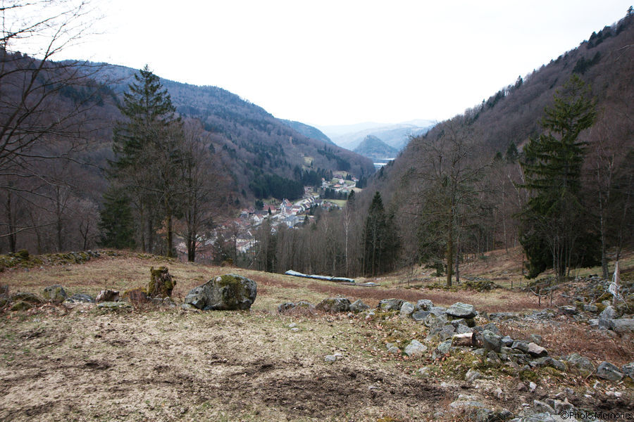 2010-04-08-0103.jpg