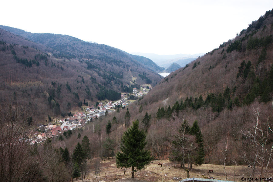 2010-04-08-0105.jpg