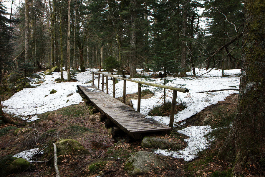 2010-04-08-0106.jpg