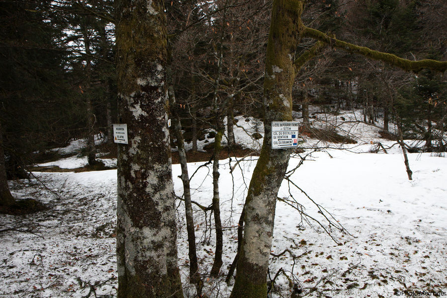 2010-04-08-0107.jpg