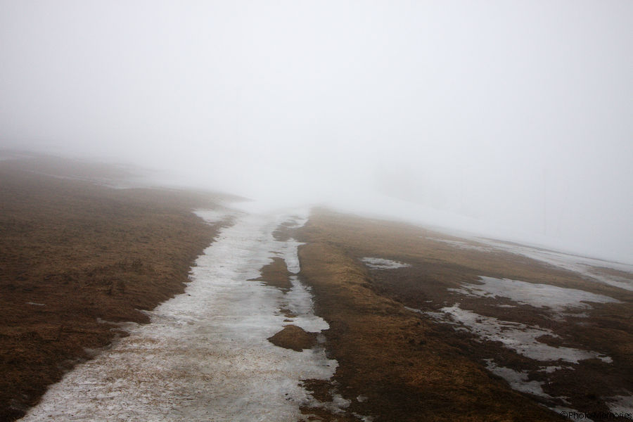 2010-04-09-0119.jpg