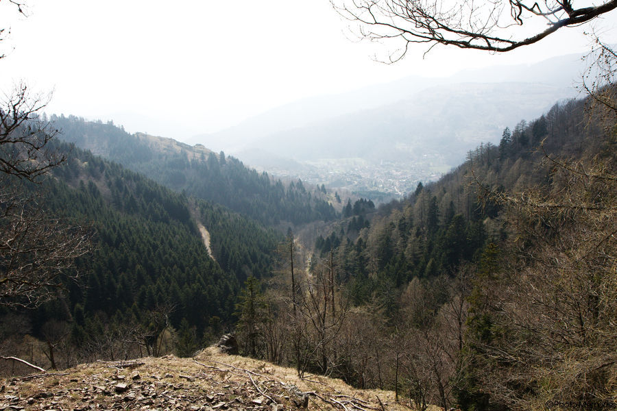 2010-04-09-0126.jpg