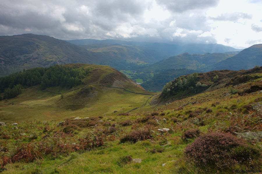 2010-09-07-0096.jpg