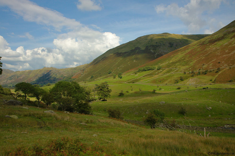 2010-09-08-0131.jpg