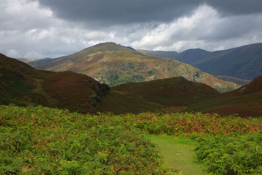 2010-09-09-0145.jpg