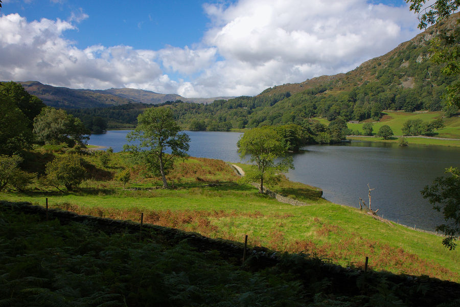 2010-09-09-0146.jpg