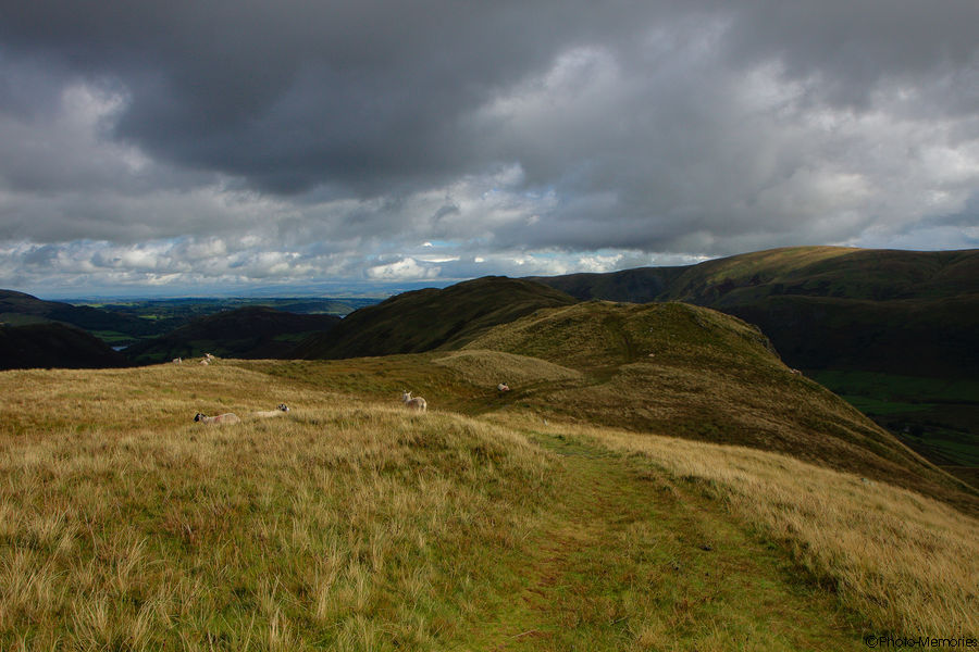 2010-09-11-0153.jpg