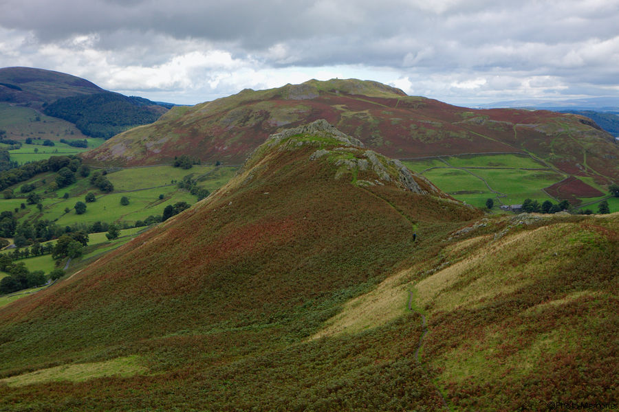 2010-09-11-0156.jpg