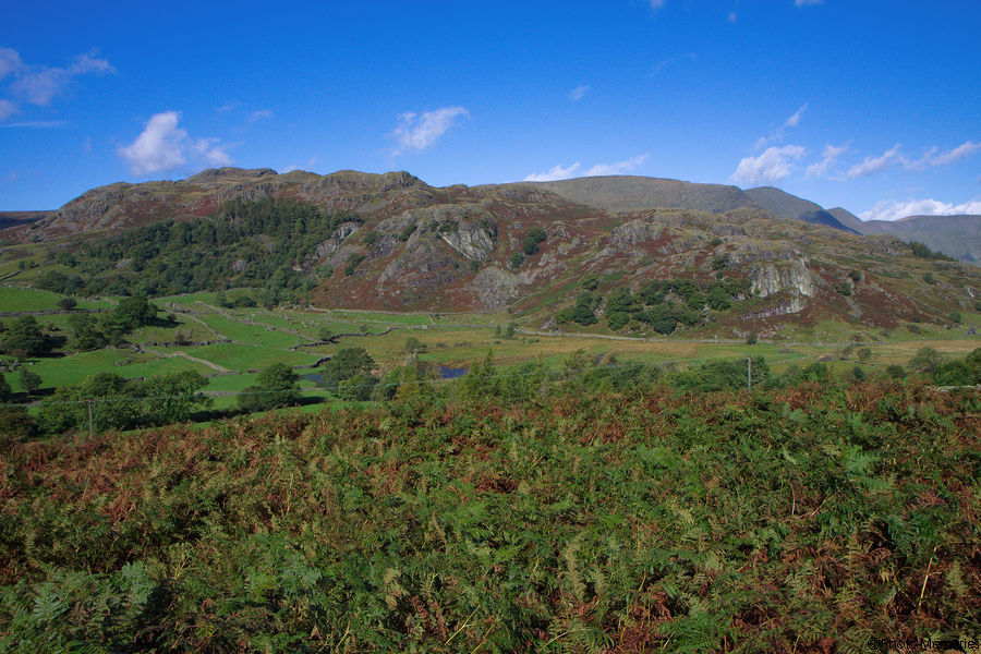 2010-09-14-0199.jpg