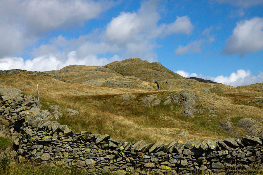2010-09-14-0204.jpg