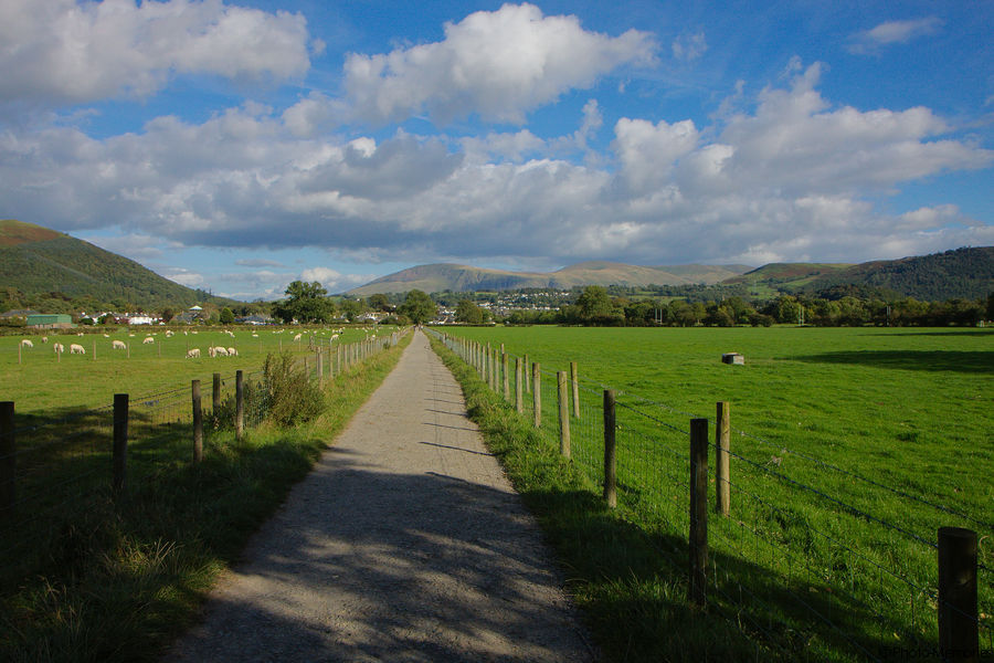 2010-09-17-0324.jpg