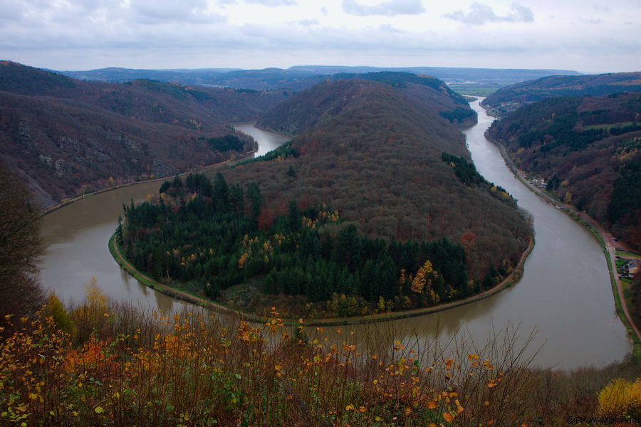 2010-11-11-0004.jpg
