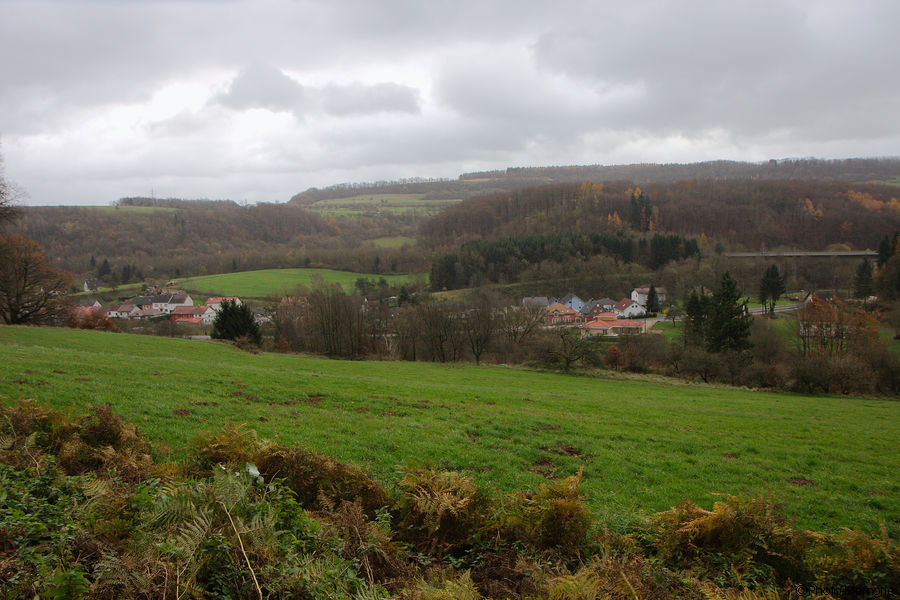 2010-11-12-0018.jpg