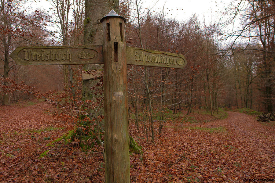 2010-11-12-0020.jpg