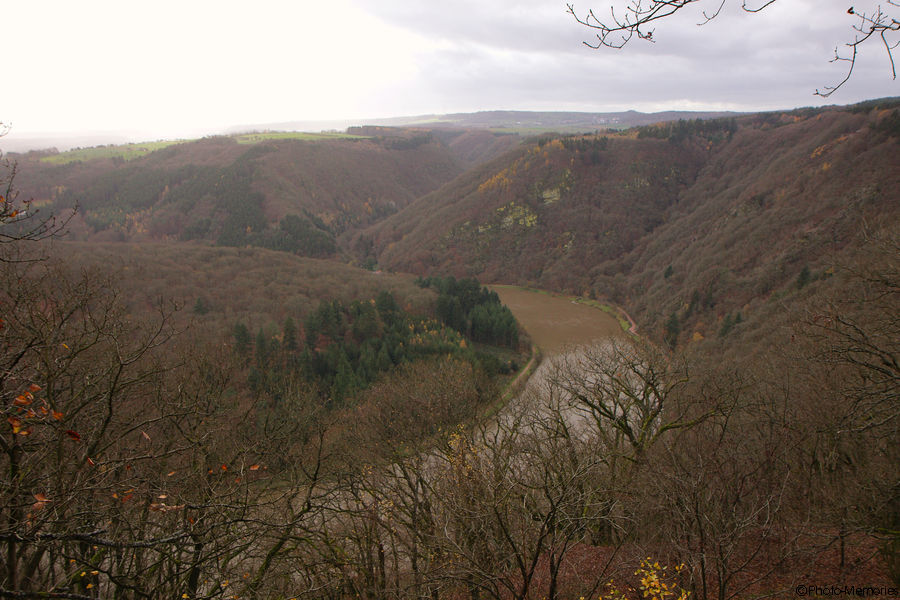 2010-11-12-0030.jpg