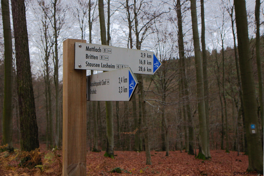 2010-11-12-0032.jpg