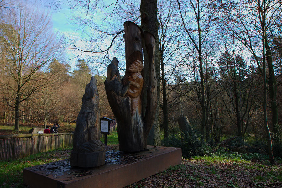2010-11-14-0057.jpg