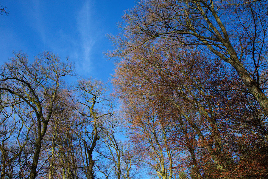 2010-11-14-0058.jpg