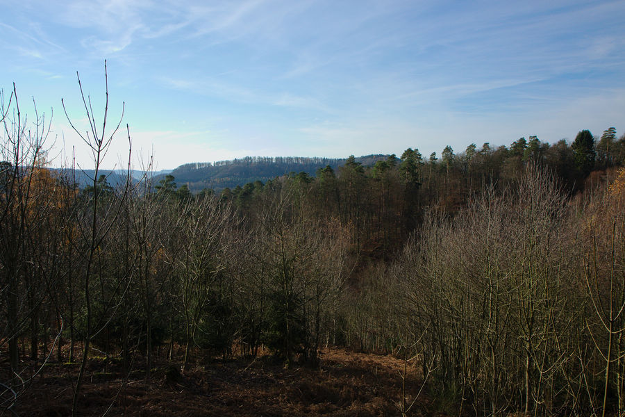 2010-11-14-0060.jpg