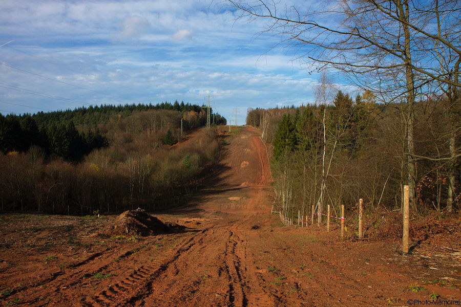 2010-11-14-0062.jpg