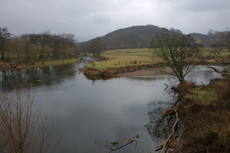 2011-03-12-0011.jpg