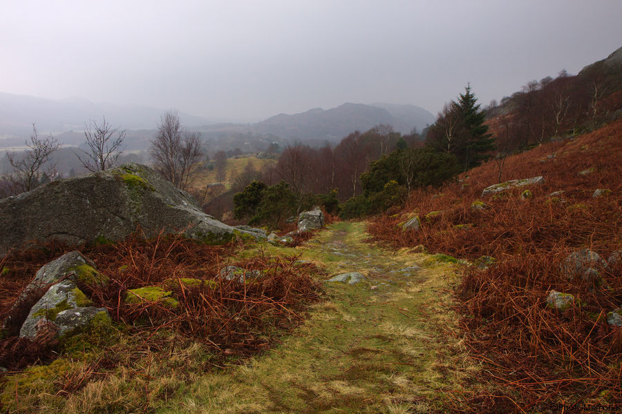 2011-03-15-0077.jpg