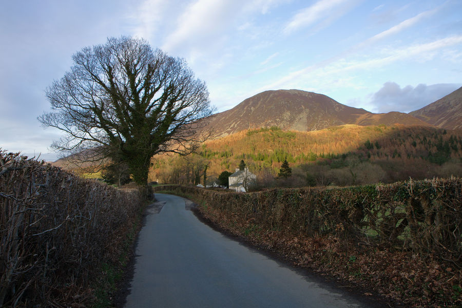 2011-03-17-0127.jpg