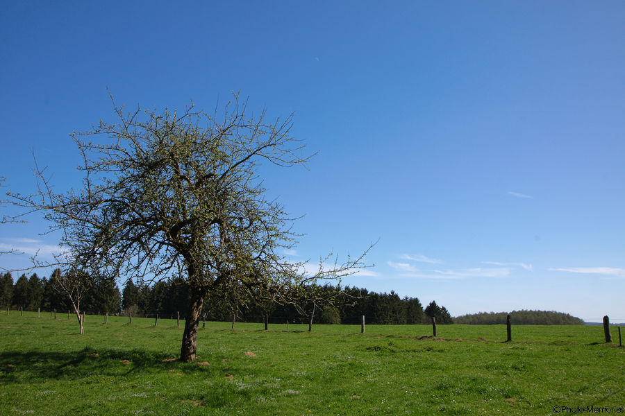 2011-04-09-0017.jpg