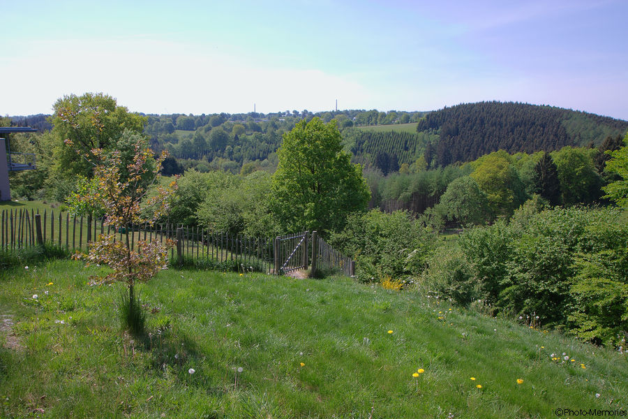 2011-05-07-0005.jpg