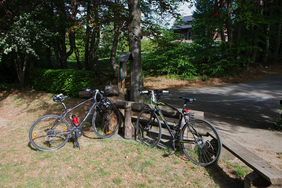 2011-05-08-0015.jpg