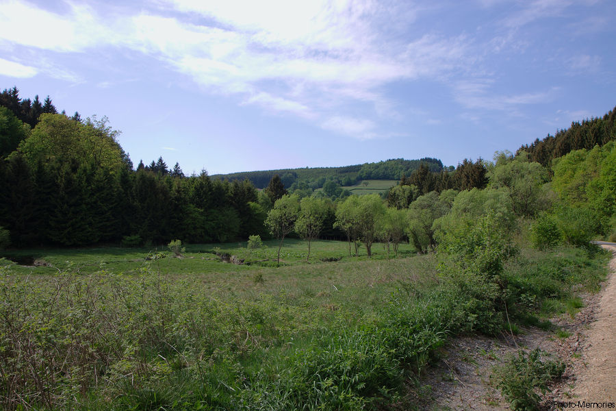 2011-05-08-0032.jpg