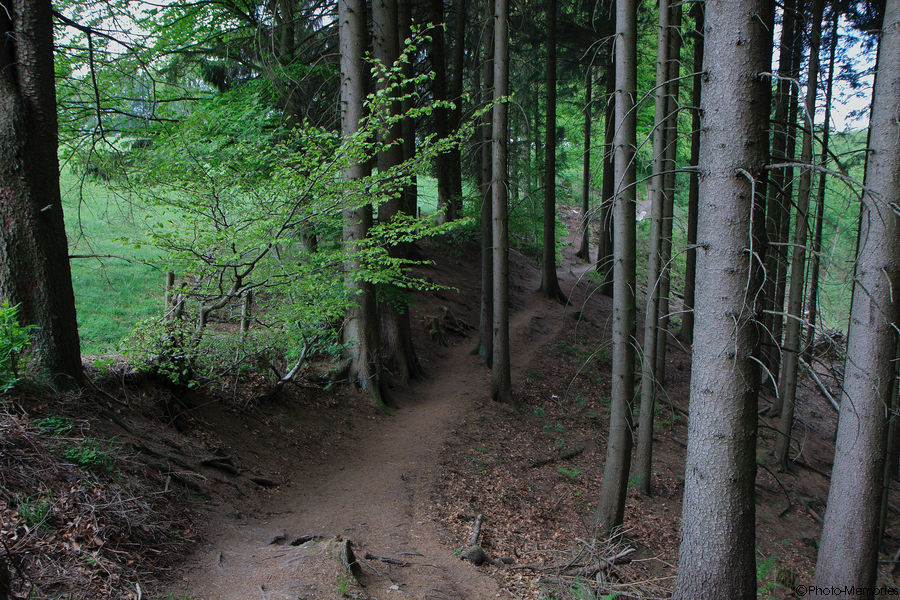 2011-05-09-0033.jpg