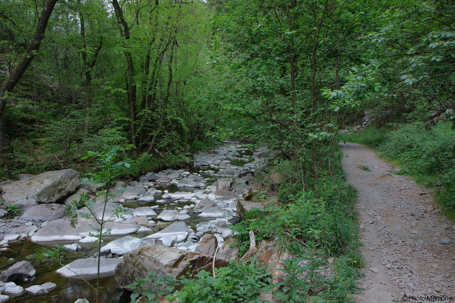 2011-05-09-0034.jpg