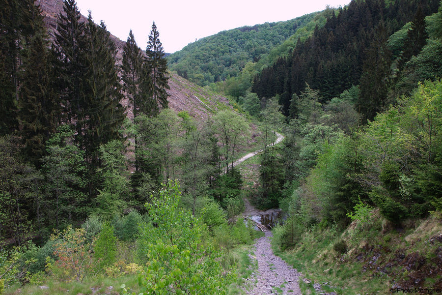 2011-05-09-0038.jpg