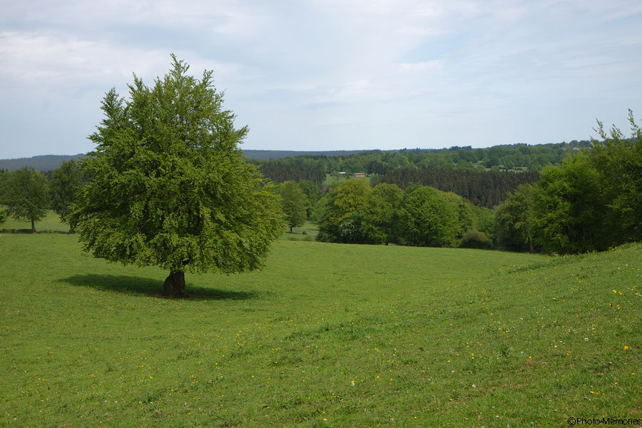 2011-05-09-0041.jpg