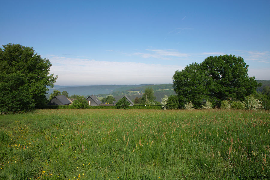 2011-05-10-0055.jpg