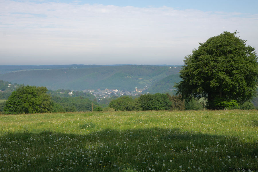 2011-05-10-0056.jpg