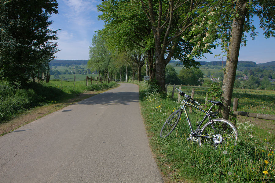 2011-05-10-0058.jpg