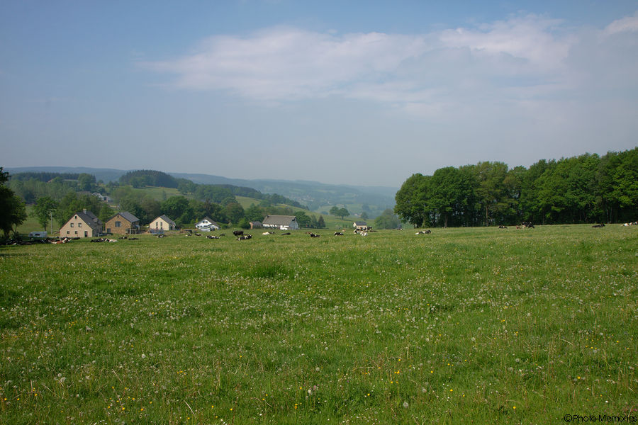 2011-05-10-0061.jpg