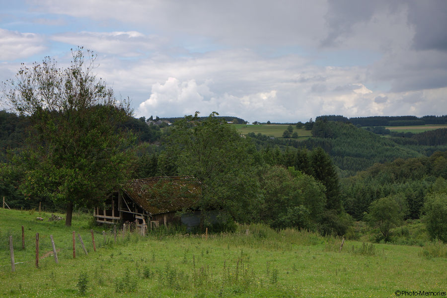 2011-06-24-0010.jpg