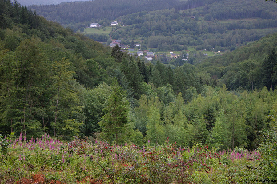 2011-06-25-0027.jpg