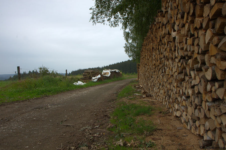 2011-06-25-0033.jpg