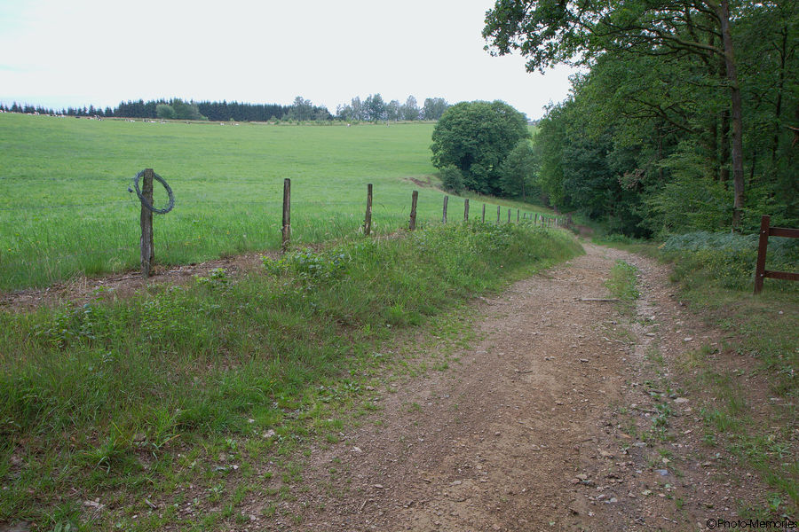 2011-06-25-0038.jpg